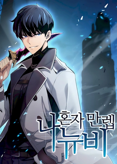 solo-max-level-newbie Cover